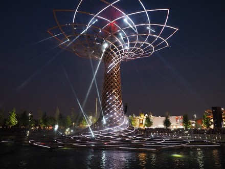 The Life Tree - Night Show at EXPO 2015 - ITALY